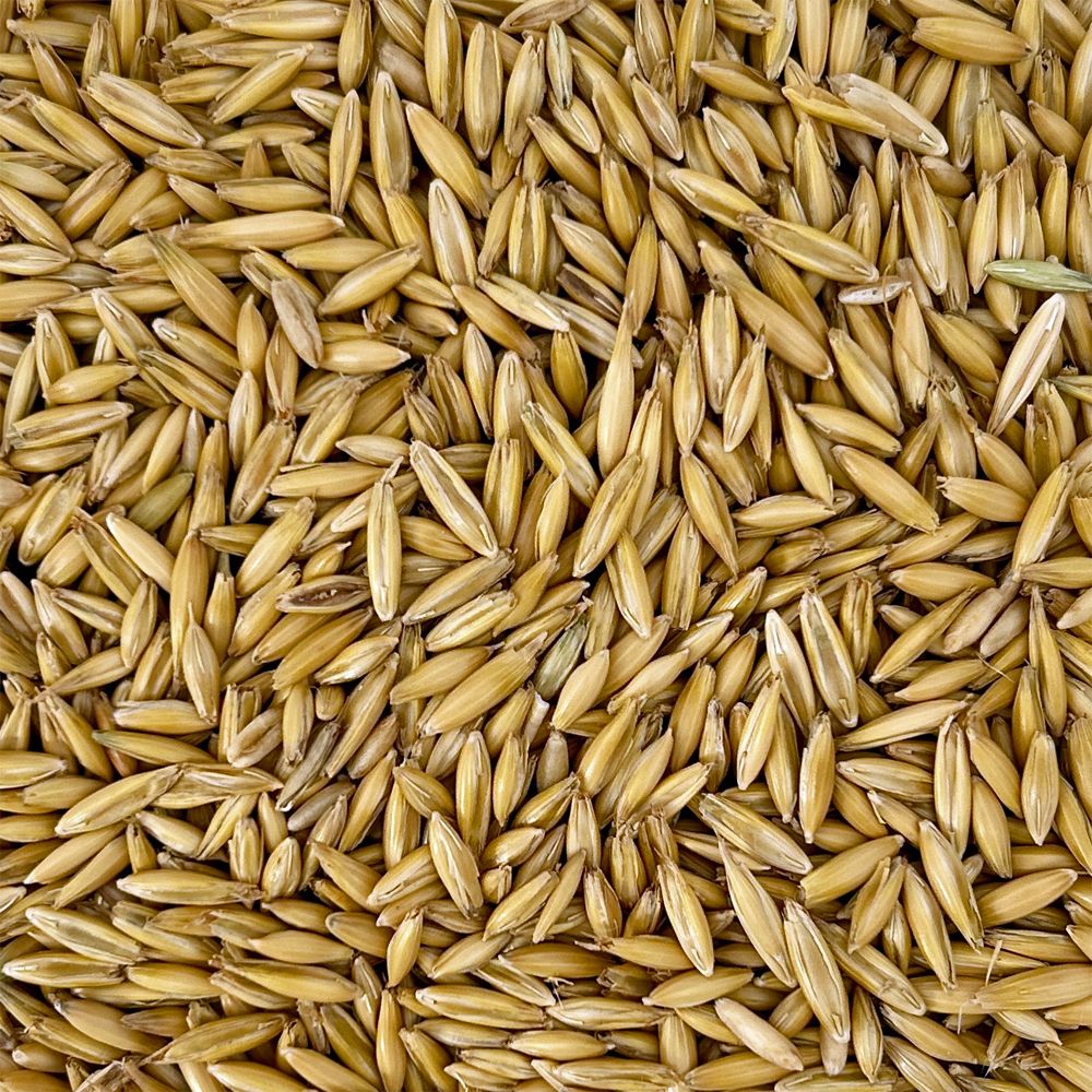 Paul's Mühle gelber Hafer 2,5 kg (für Futterzwecke)