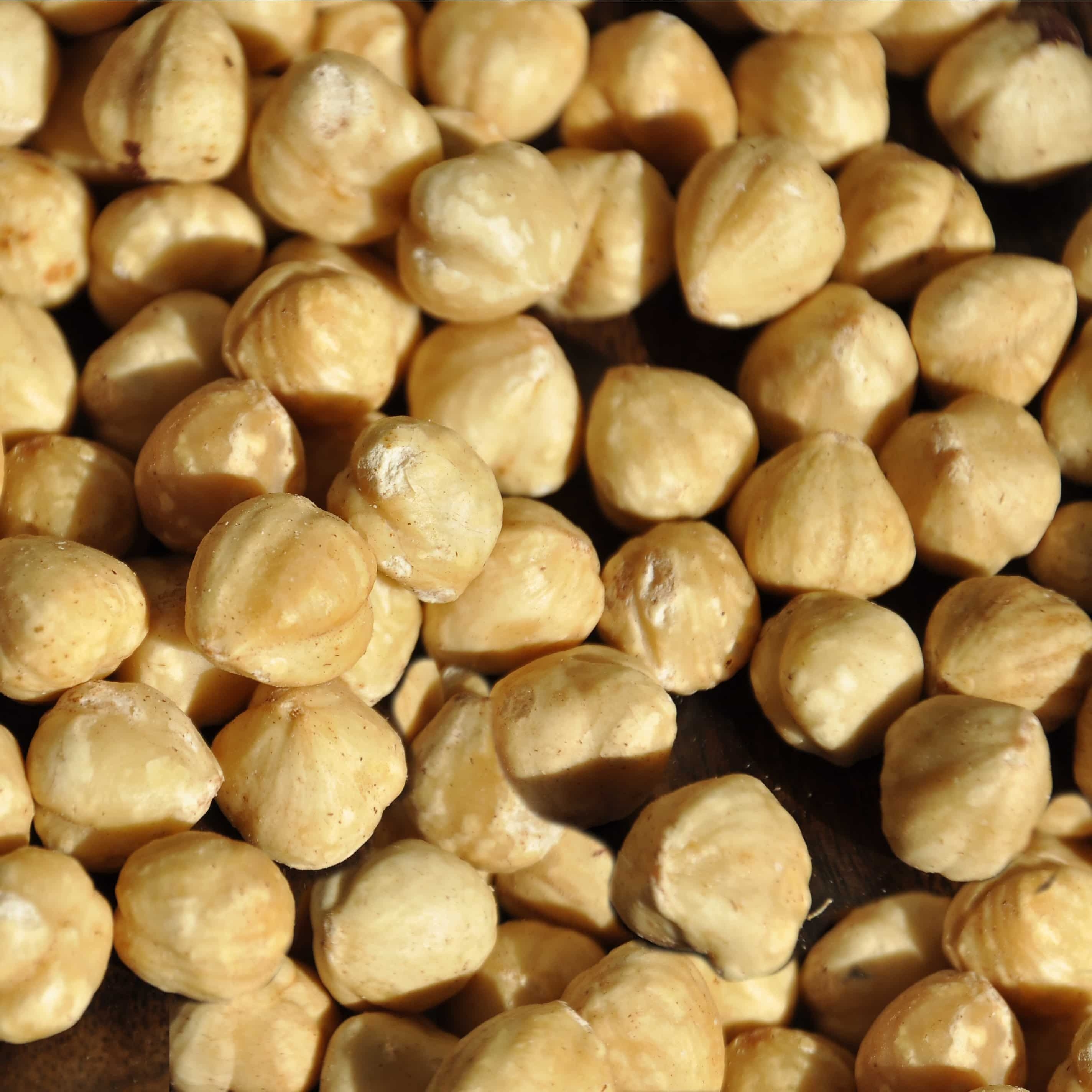 Haselnusskerne geschält blanchiert 10 kg