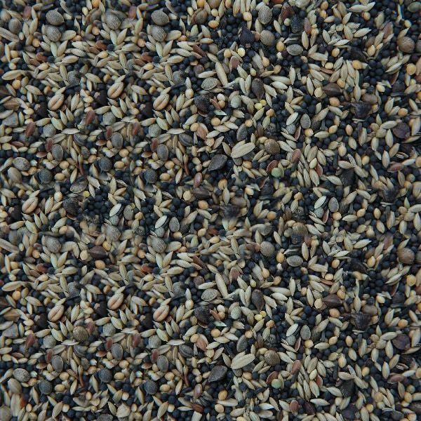 Matador Waldvogelfutter mit Rübsen 25 kg