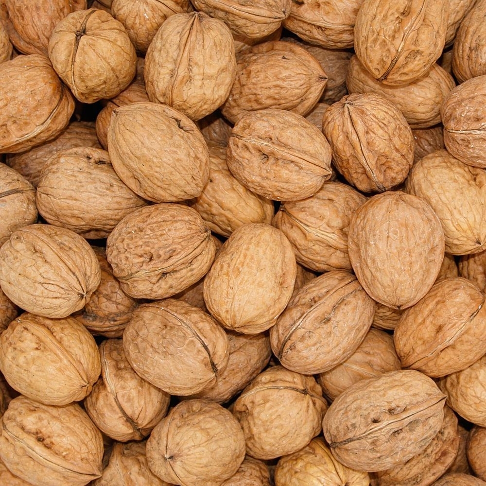 Paul's Mühle Walnüsse in Schale 1 kg