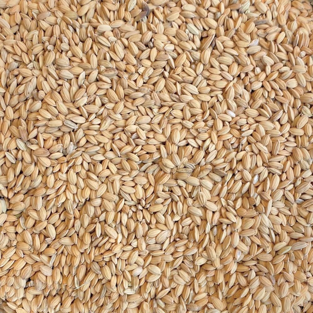 Paul's Mühle Paddy Reis 1 kg