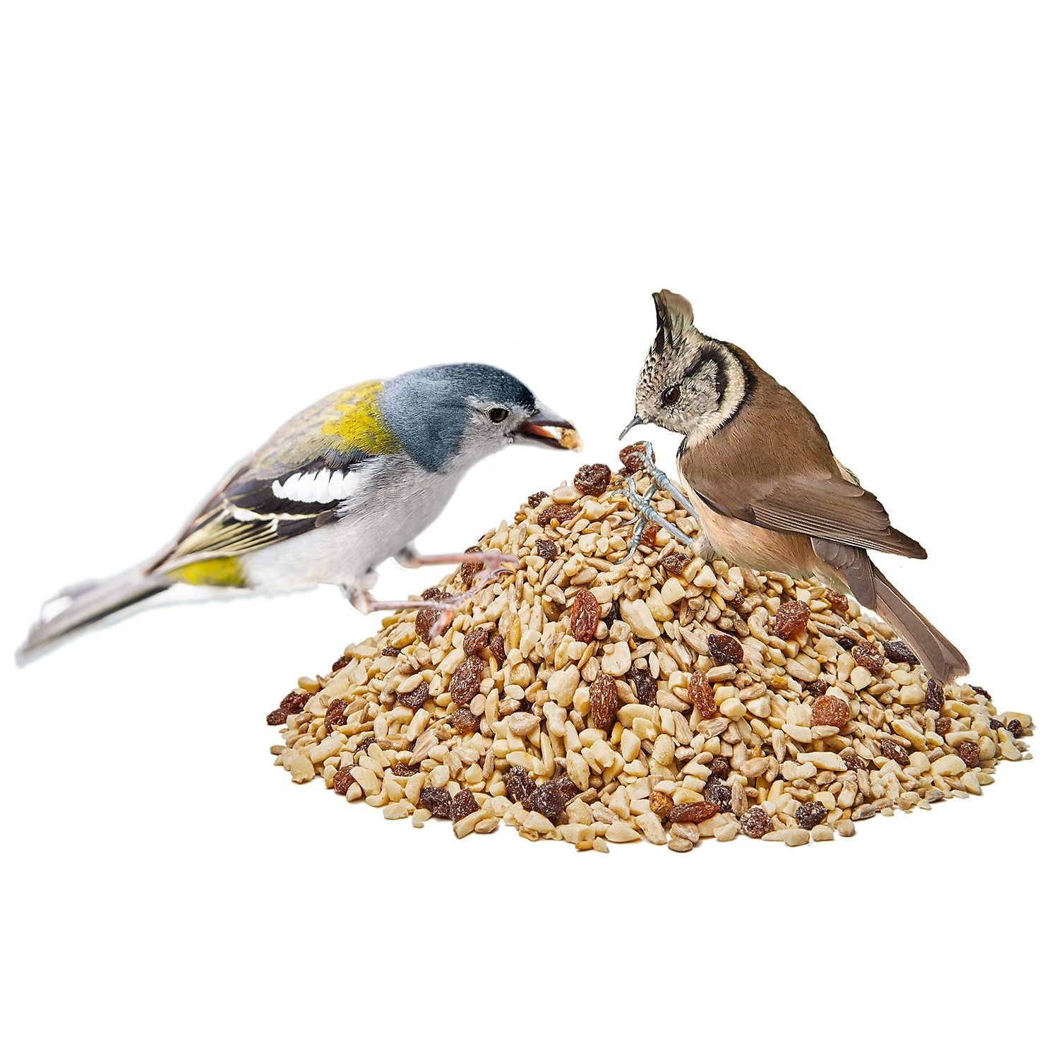 Paul's Mühle Wildvogelmenü ohne Schalen 5 kg