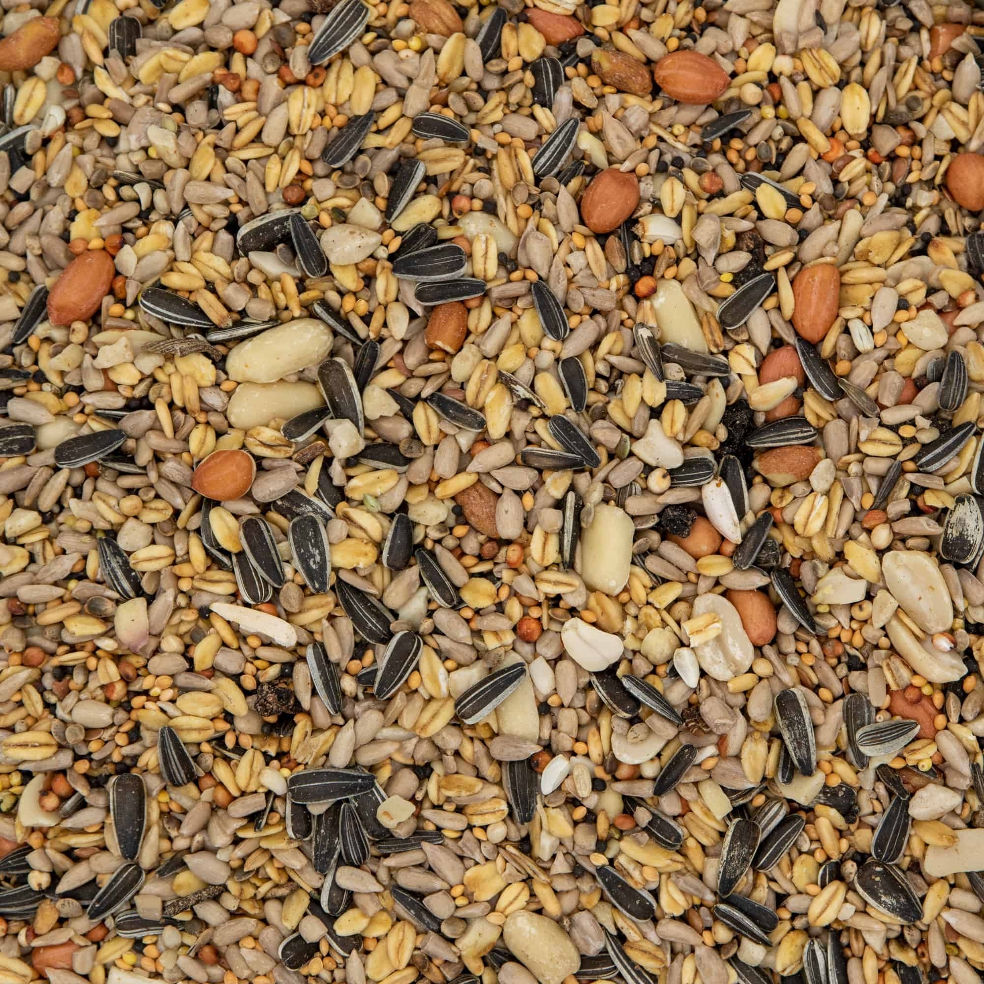 Paul's Mühle Wildvogelfutter 4-Jahreszeiten 25 kg