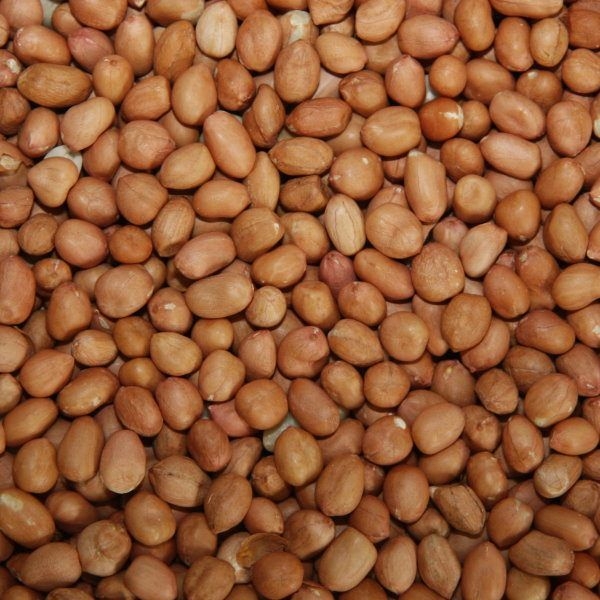 Paul's Mühle Erdnüsse mit Haut (Light Skin) 2 x 10 kg