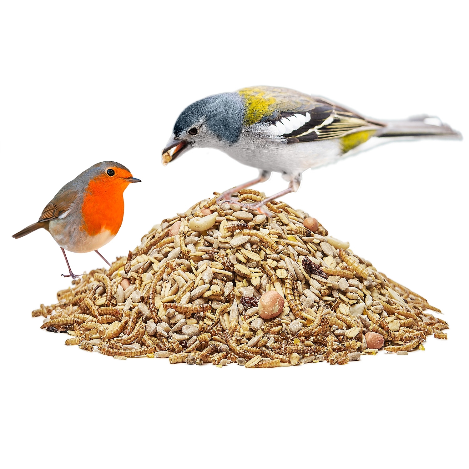 Paul's Mühle Wildvogelfutter Deluxe 2 x 10 kg
