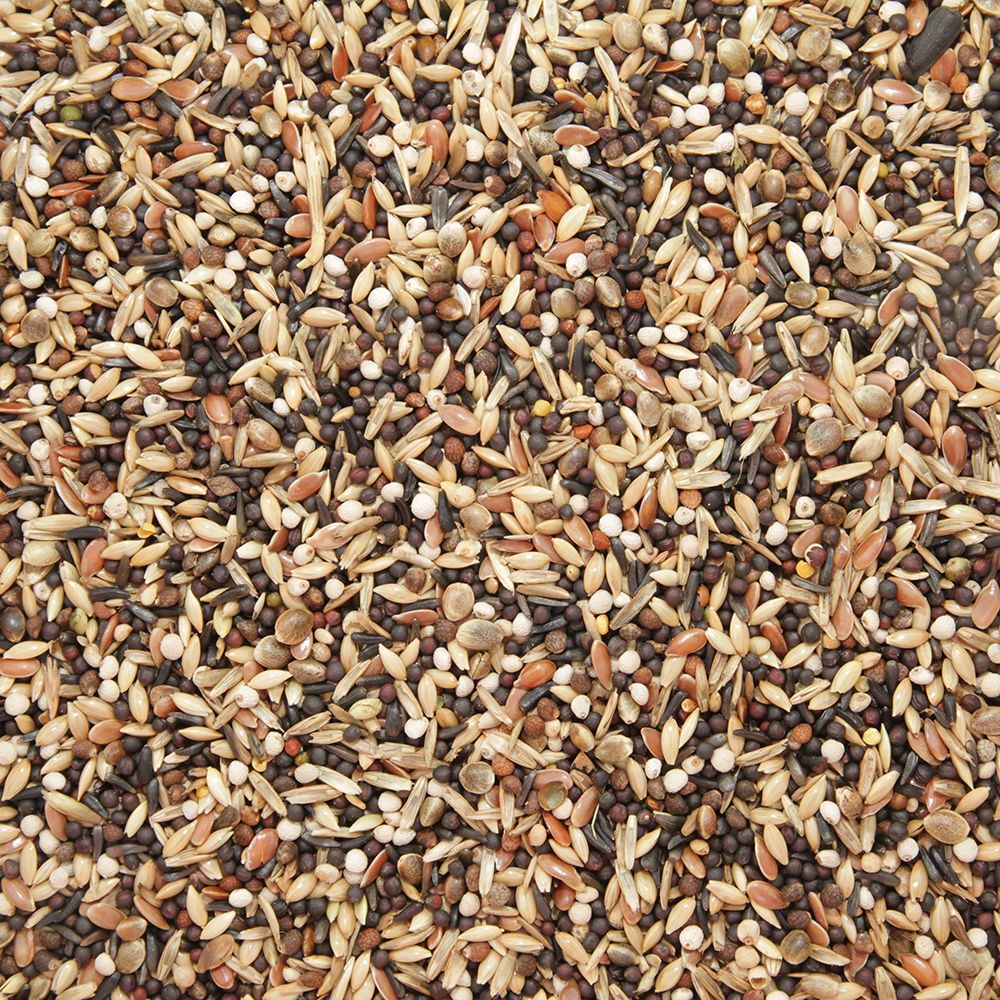 Garvo 531515 Stieglitz und Zeisig 1,5 kg