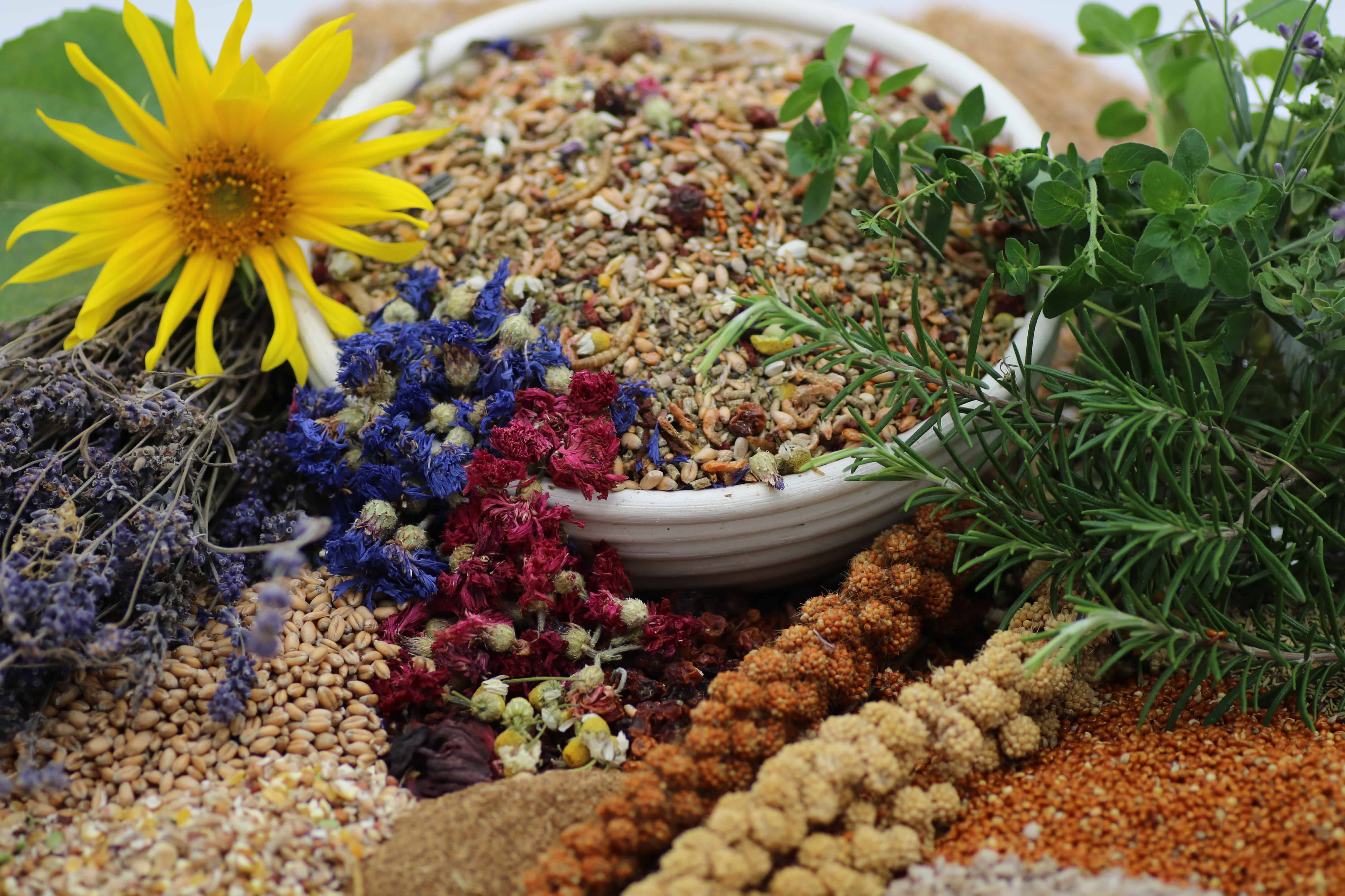 Paul's Mühle Wachtelliebe Premium Wachtelfutter 2 x 10 kg