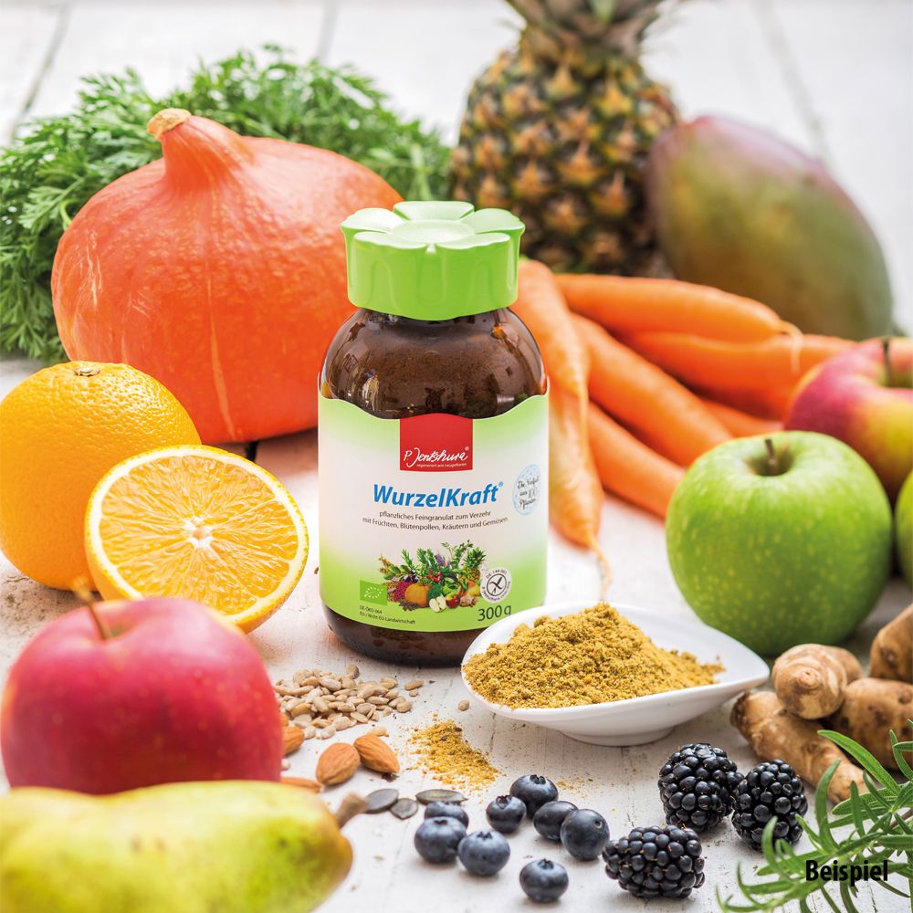 P. Jentschura BIO Wurzelkraft 600 g