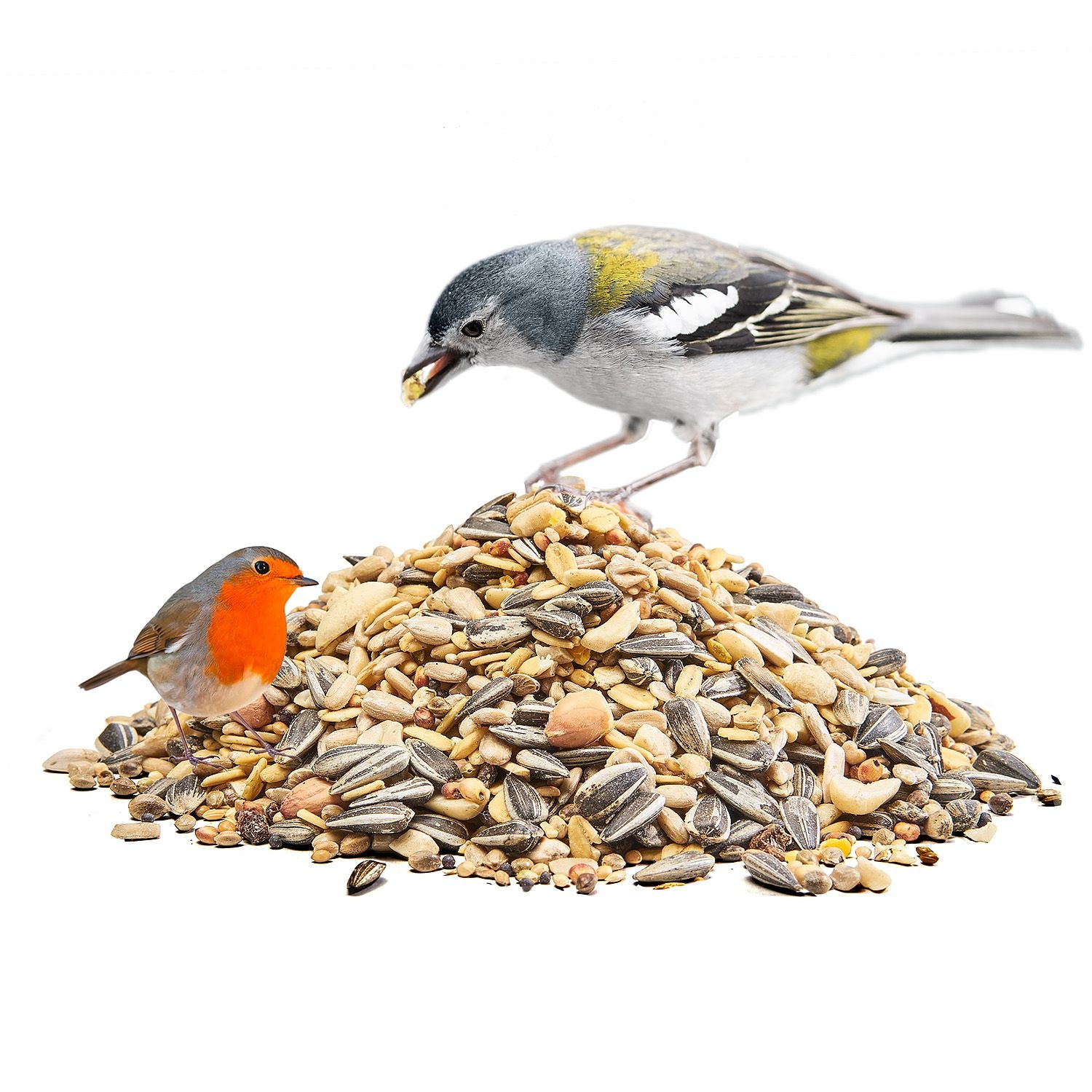 Paul's Mühle Wildvogelfutter 4-Jahreszeiten 25 kg