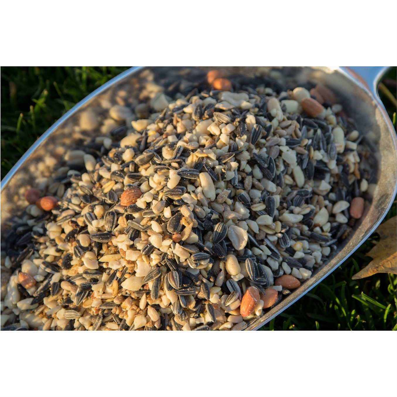 Paul's Mühle Wildvogelfutter Expertenmischung 5 kg