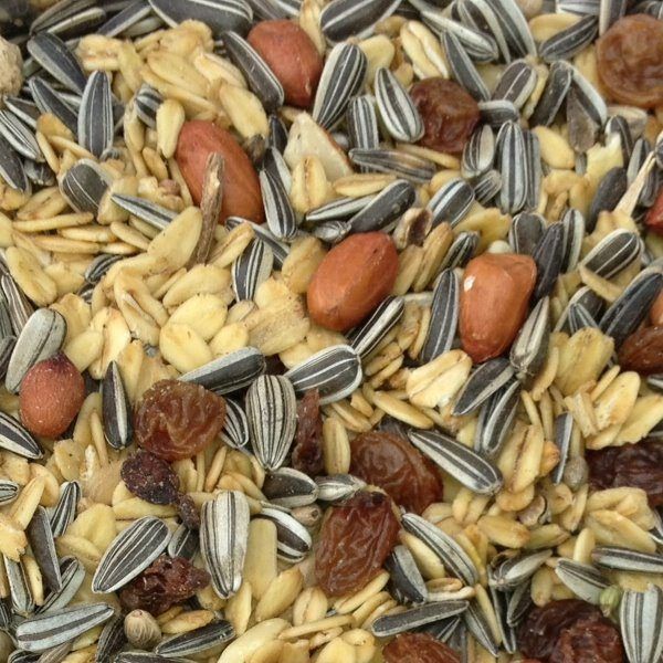 Paul's Mühle Wildvogelstreufutter Spezial 1 kg