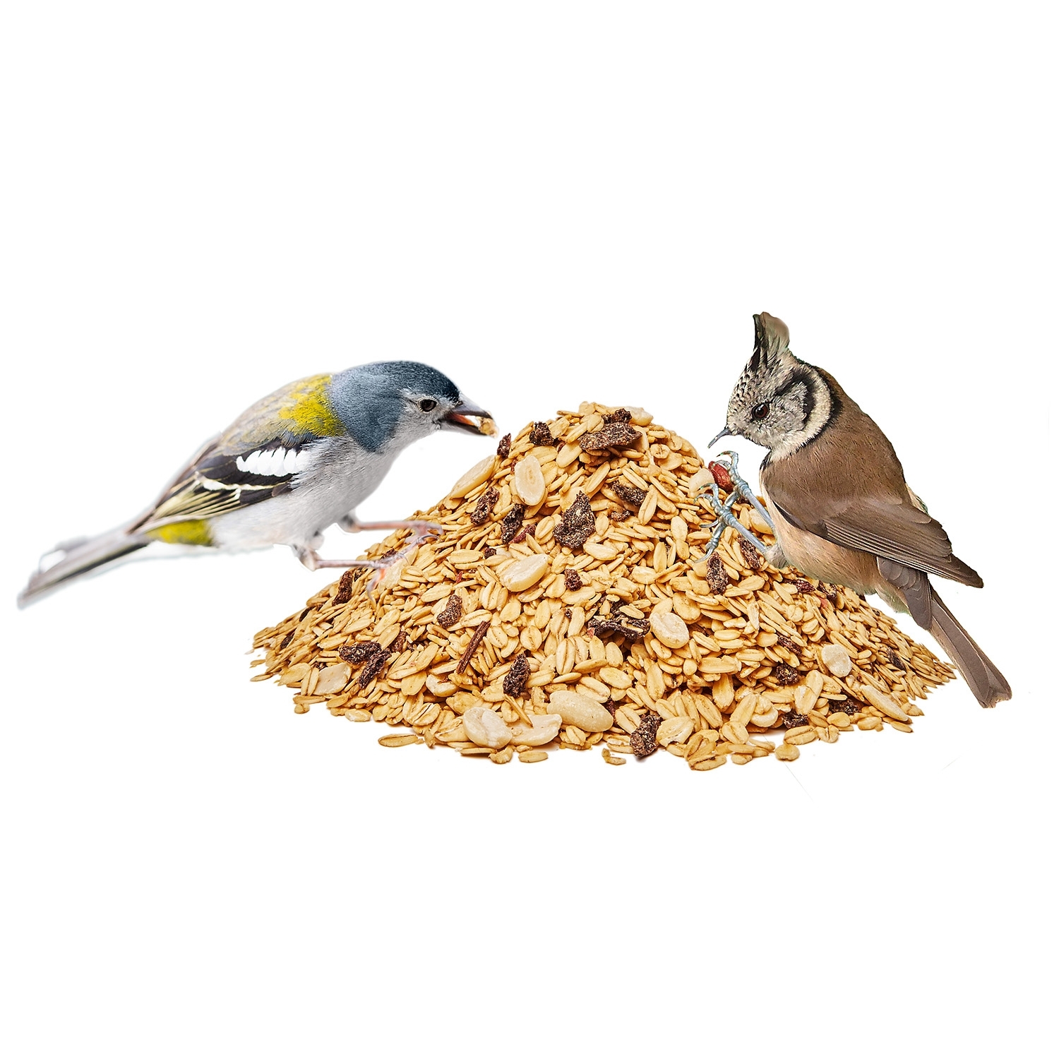 Paul's Mühle Wildvogelfettfutter 1 kg