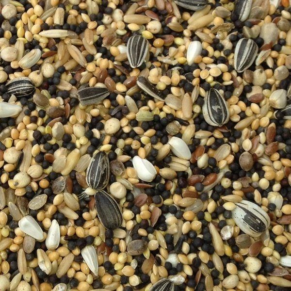 Paul's Mühle Kleinsämereien-Mischung 1 kg