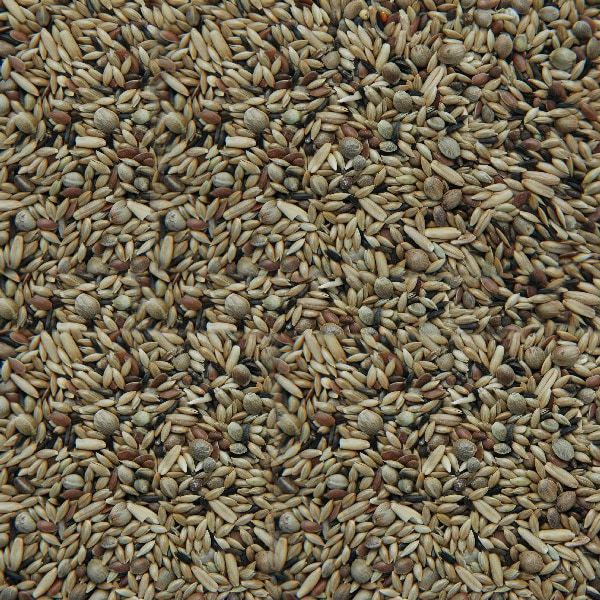 Matador Kanarien Züchter-Mischung 10 kg