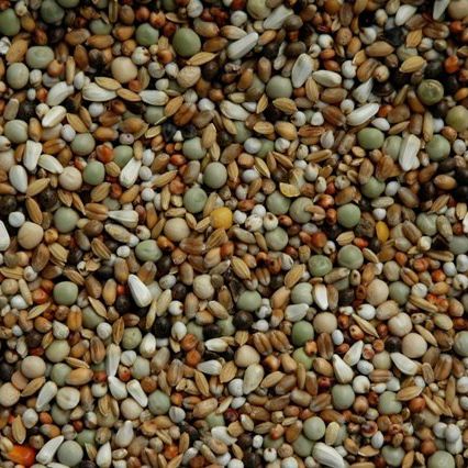 Matador RT / K Rassetaubenfutter