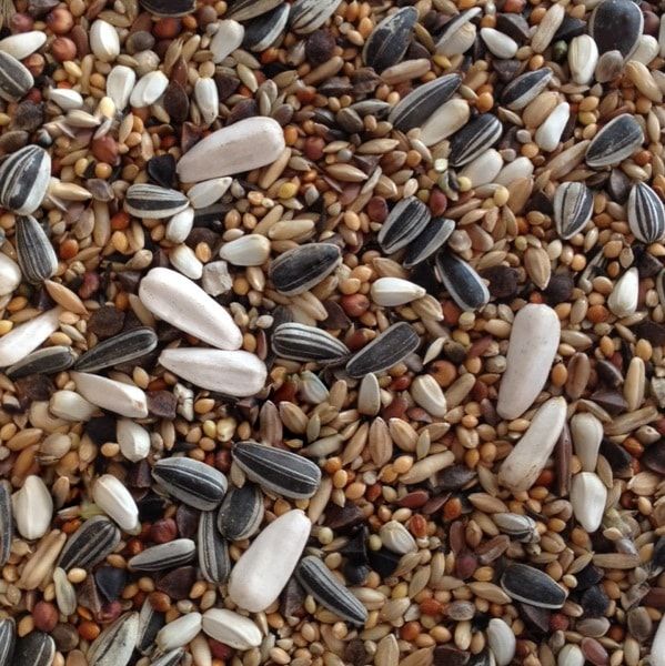 Matador Großsittichfutter Premium 1 kg