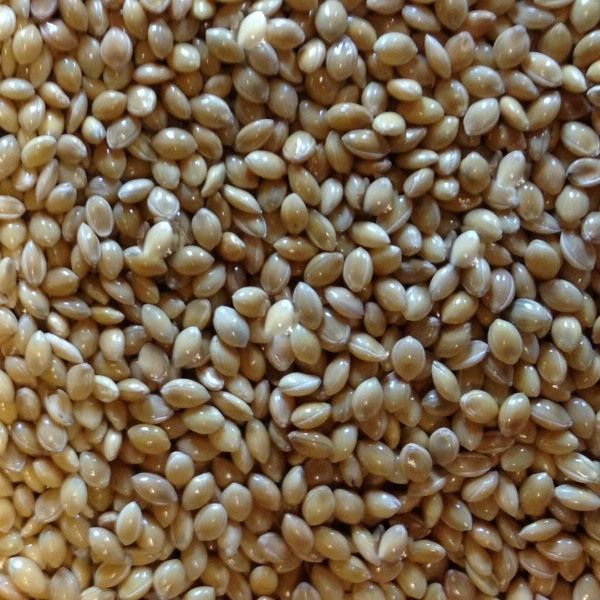 Paul's Mühle Futterhirse 25 kg