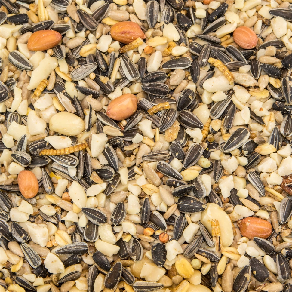 Paul's Mühle Wildvogelfutter Expertenmischung 1 kg