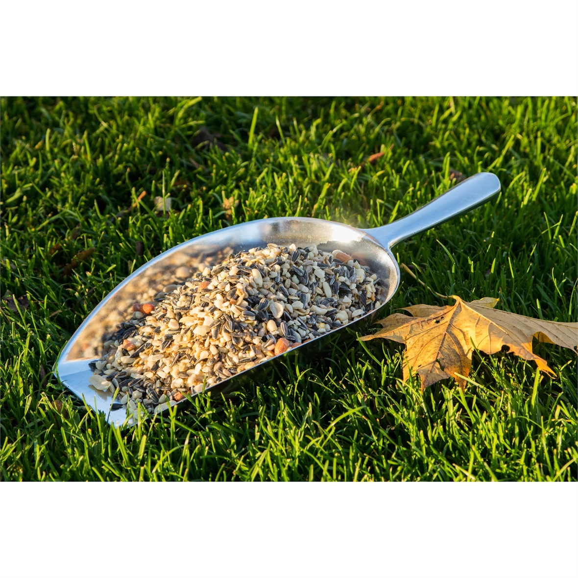 Paul's Mühle Wildvogelfutter Expertenmischung 1 kg