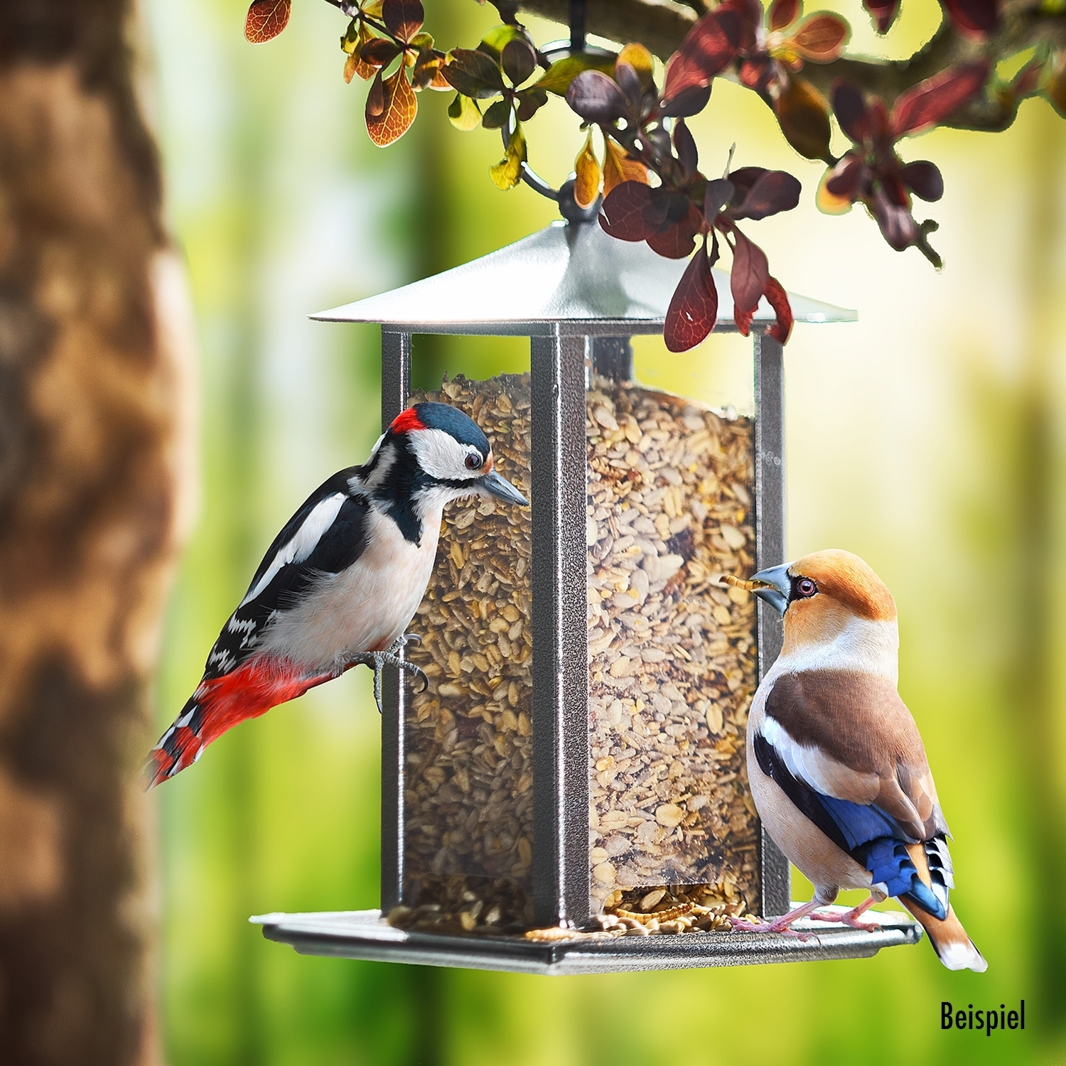 Paul's Mühle Wildvogelfutter Deluxe 2 x 10 kg