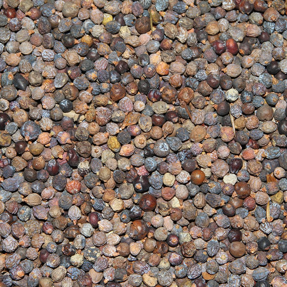 Paul's Mühle Wacholderbeeren 500 g