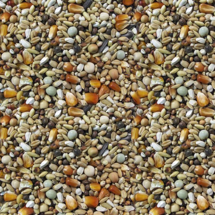 Matador Jungtauben Reise 25 kg