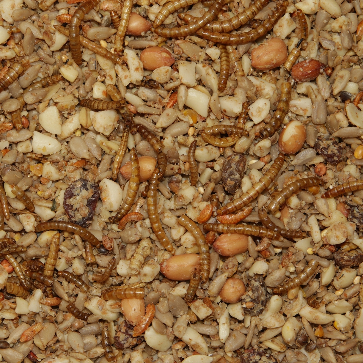 Paul's Mühle Wildvogelfutter Senkrechtstarter 5 kg
