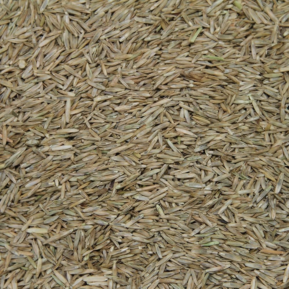 Gebrauchsrasen Spielrasen RSM 2.3