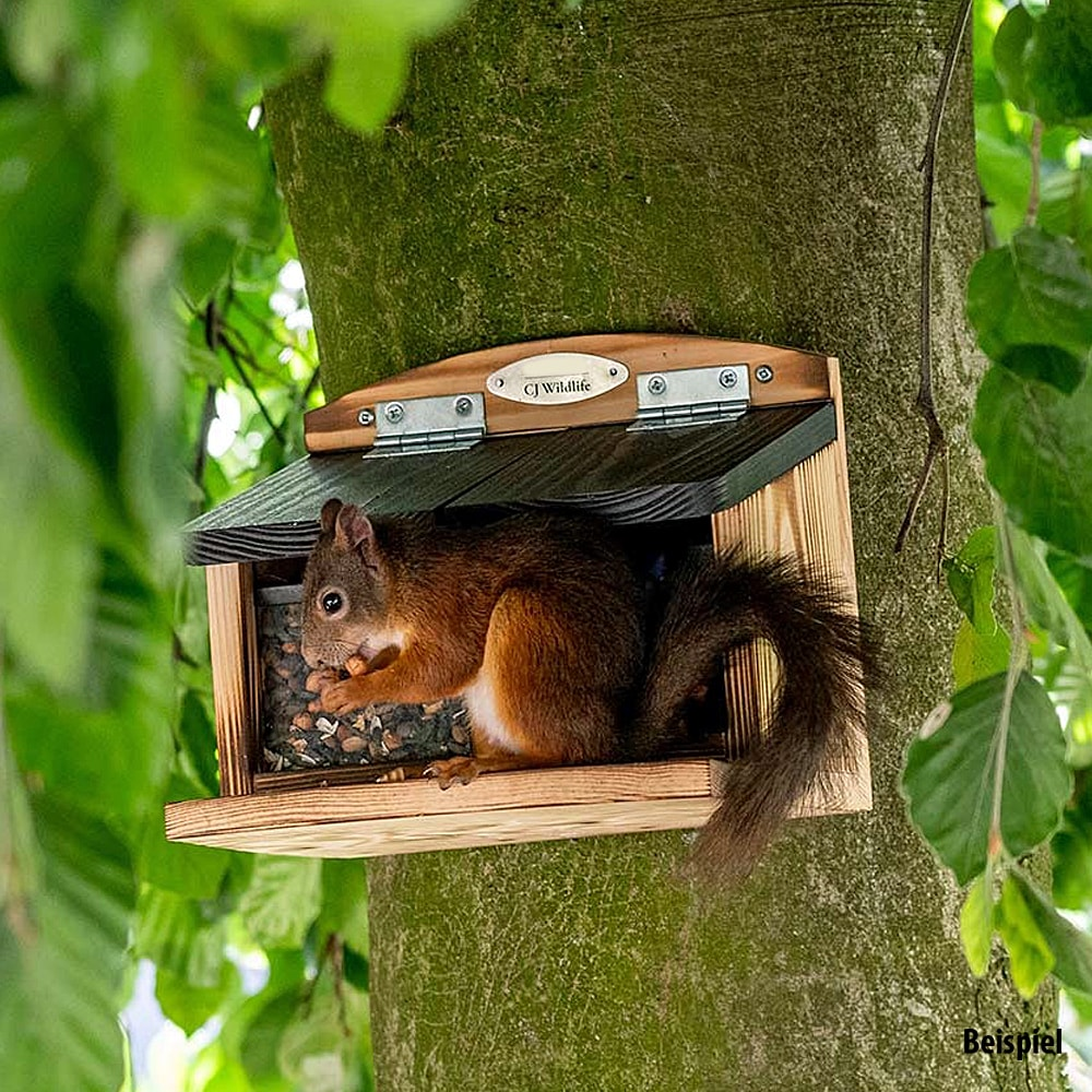 CJ Wildlife Eichhörnchen-Futterautomat Galiano (doppelt)