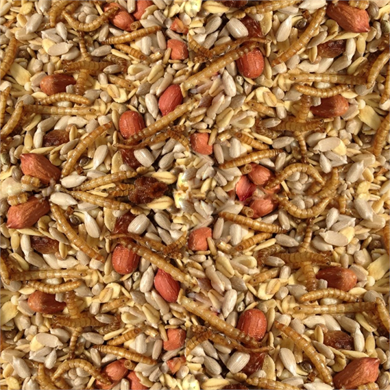 Paul's Mühle Wildvogelfutter Deluxe 2 x 10 kg