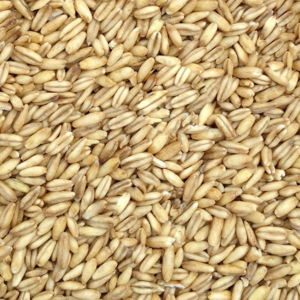 Paul's Mühle Haferkerne (geschält) 2,5 kg