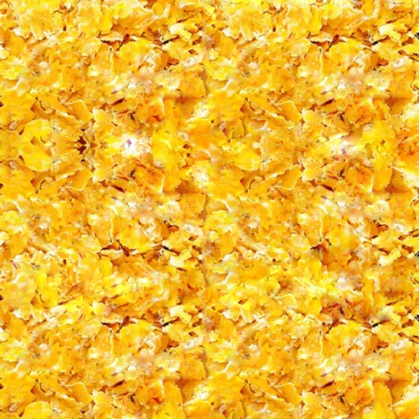 Garvo 6846 Maisflocken 10 kg