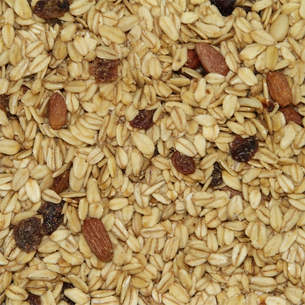 Paul's Mühle Wildvogelfettfutter 1 kg