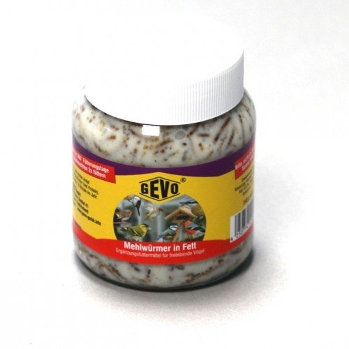 GEVO Mehlwürmer in Fett im Glas 240 g