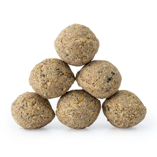 CJ Wildlife Meisenknödel mit Insektenfett 6 Stück (104252819)