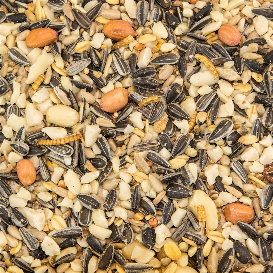 Paul's Mühle Wildvogelfutter Expertenmischung 5 kg
