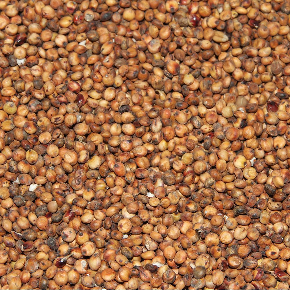 Paul's Mühle Milo 5 kg