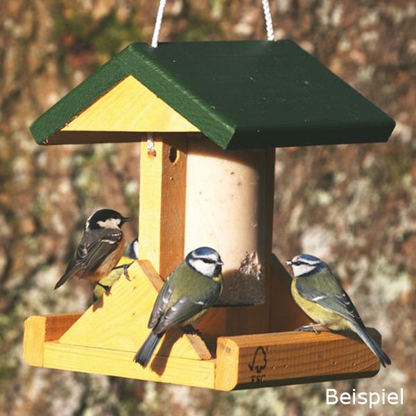 Energiekuchen-Haus Alpine 350400619