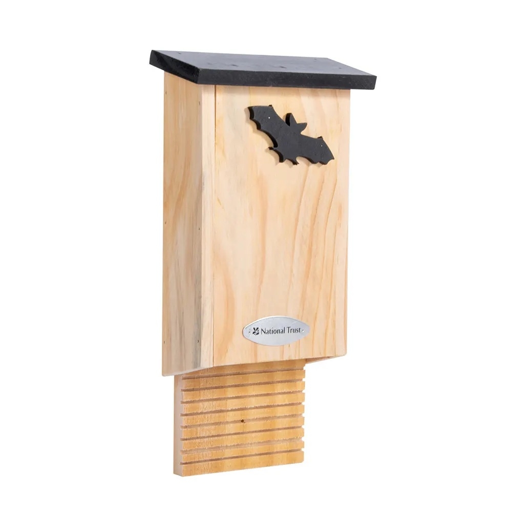CJ Wildlife Fledermauskasten Glamis (914760419)