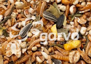 Garvo 207008 Pride Treats 800 g