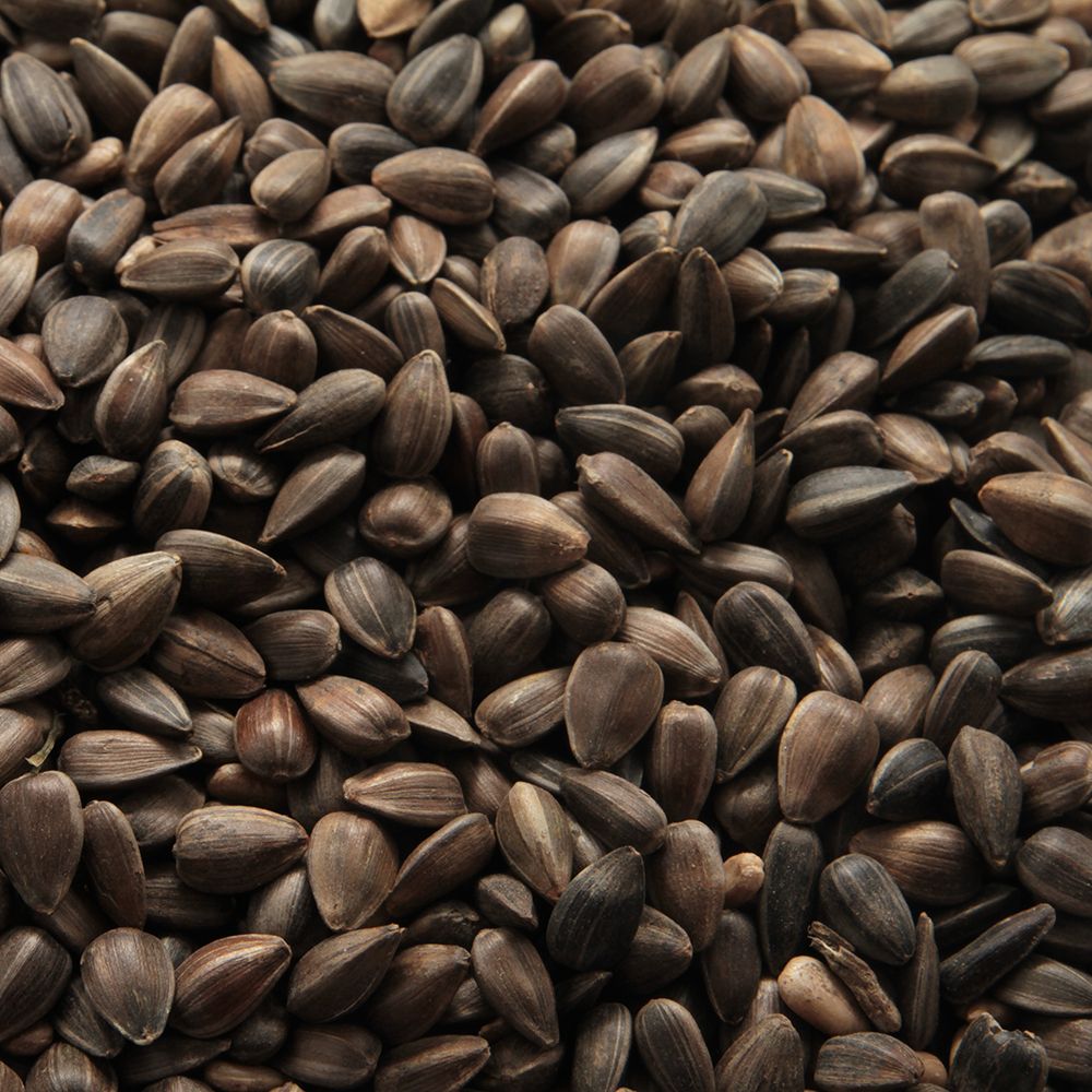 Paul's Mühle Sonnenblumenkerne schwarz 1 kg