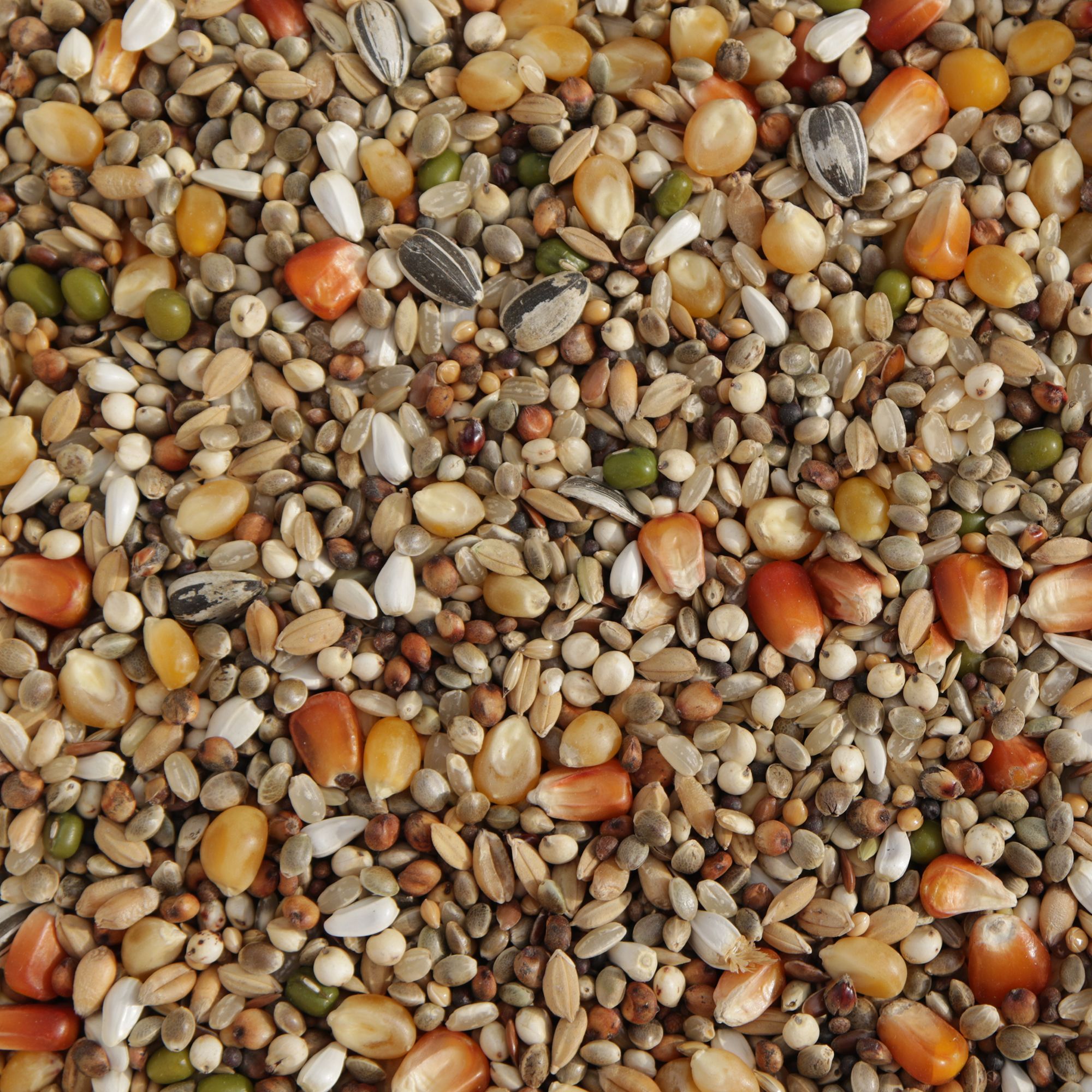 Matador Premium Turbo Fett Extrem 20 kg